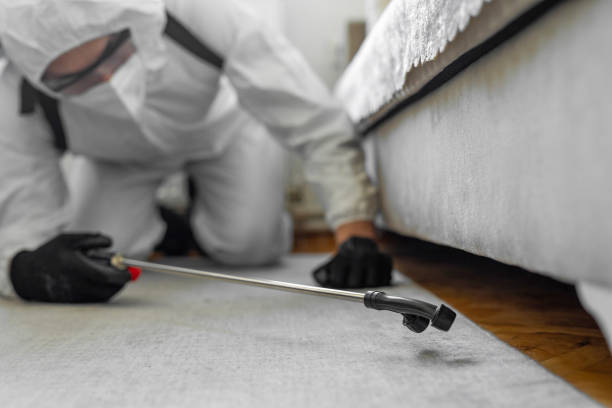 Professional Pest Control technician working in Haywood County County, TN